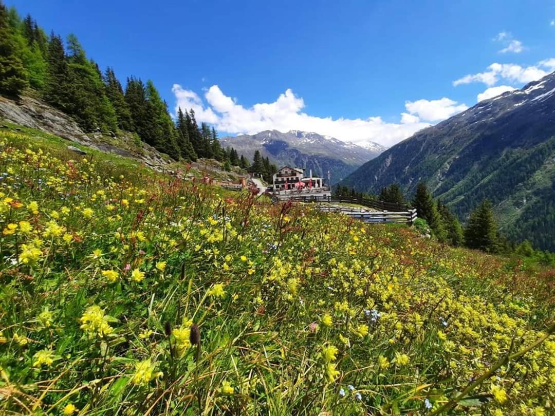 Отель Alpengasthof Gaislach Alm Зёльден Экстерьер фото